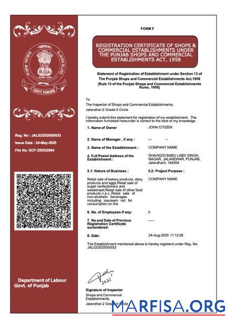 Printable India Punjab registration certificate Word and PDF template
